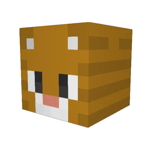 PashaM2015 Minecraft avatar head, 3D render