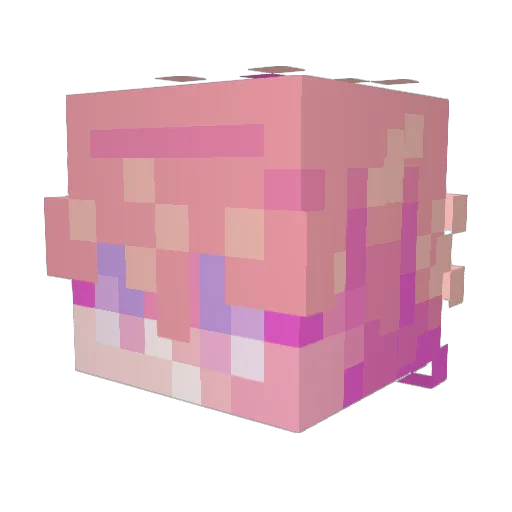 PashaTheas Minecraft avatar head, 3D render