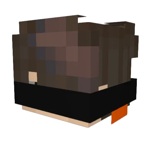 Pashgann Minecraft avatar head, 3D render