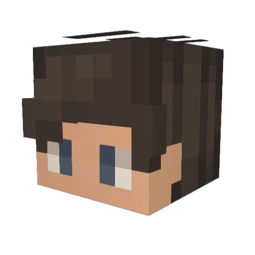 Pashsh Minecraft avatar head, 3D render