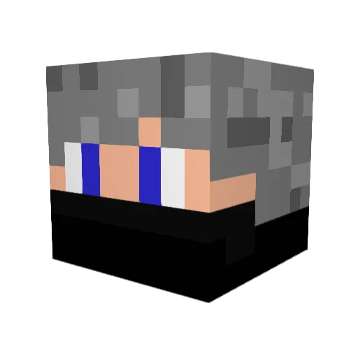 Pasi1902 Minecraft avatar head, 3D render