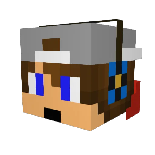Pasi22799 Minecraft avatar head, 3D render