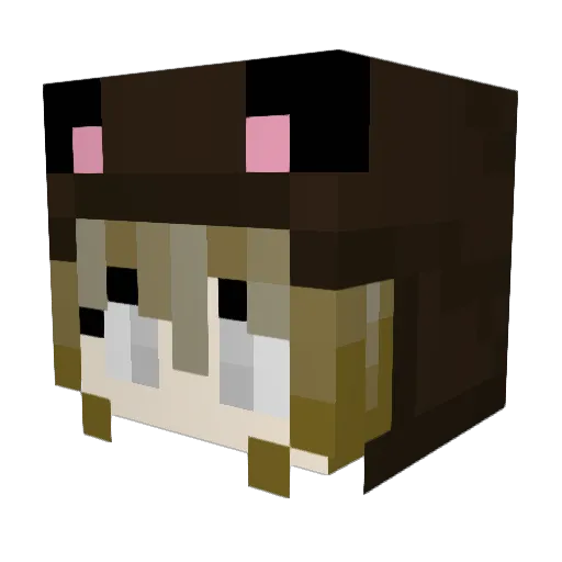 PasiTh3a Minecraft avatar head, 3D render