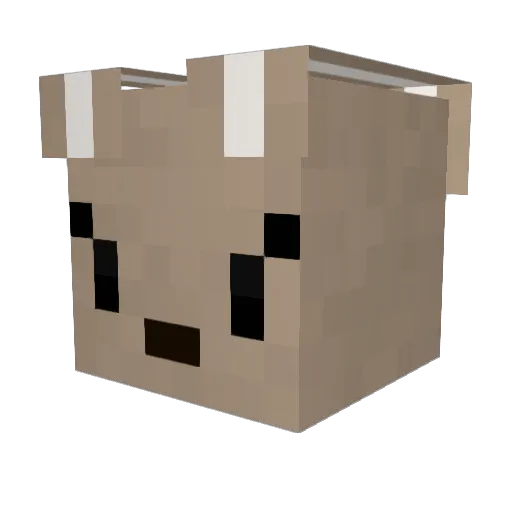 Pasinga Minecraft avatar head, 3D render