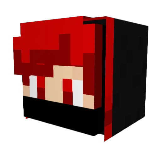 Pasqdnik Minecraft avatar head, 3D render