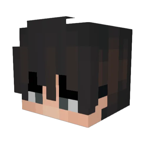 Pasqui09_ Minecraft avatar head, 3D render
