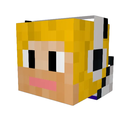 Pasquuualee Minecraft avatar head, 3D render