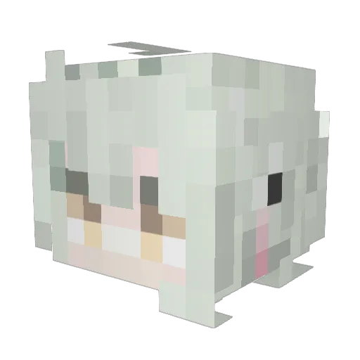 Pass0r0 Minecraft avatar head, 3D render