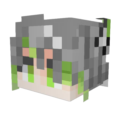 PassBy_StarEcho Minecraft avatar head, 3D render