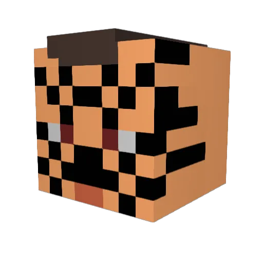 PassMyJandal Minecraft avatar head, 3D render