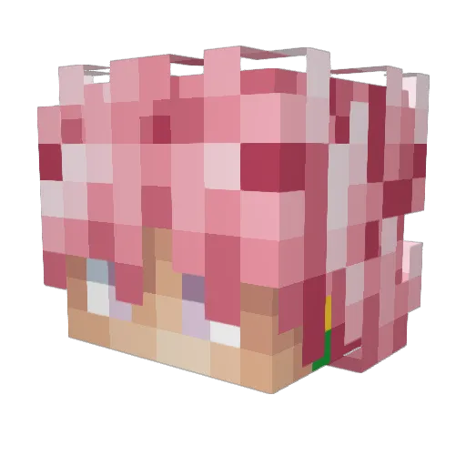 PassScreenshare Minecraft avatar head, 3D render