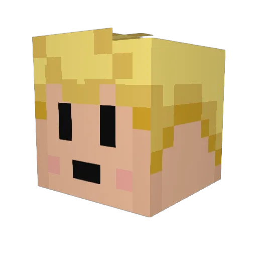 PassWeeni Minecraft avatar head, 3D render