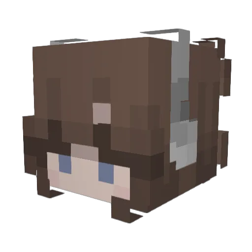 PassengerPuppy Minecraft avatar head, 3D render
