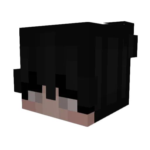 Passer_1 Minecraft avatar head, 3D render