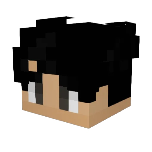 Passi0156 Minecraft avatar head, 3D render