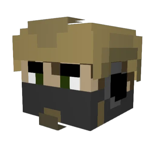 Passi01chcker Minecraft avatar head, 3D render