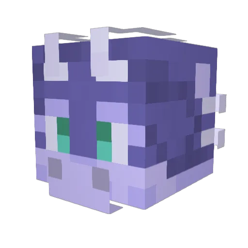 PassionNate Minecraft avatar head, 3D render