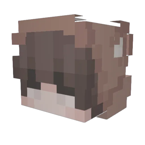 PassionPit Minecraft avatar head, 3D render