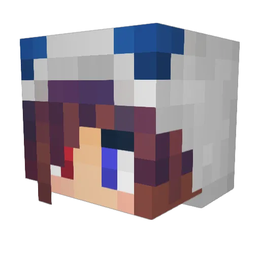 PassiveSG Minecraft avatar head, 3D render