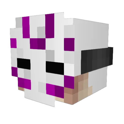 Passpone Minecraft avatar head, 3D render