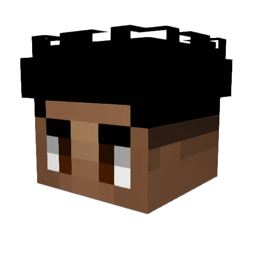 PassyDestroyer69 Minecraft avatar head, 3D render