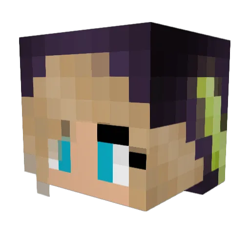 PassyFX Minecraft avatar head, 3D render
