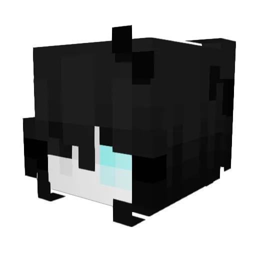 PastCarrot5941 Minecraft avatar head, 3D render