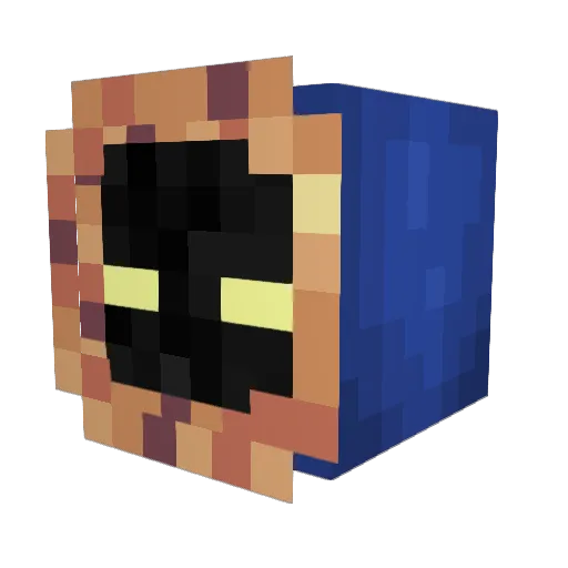 PastPlatypus504 Minecraft avatar head, 3D render
