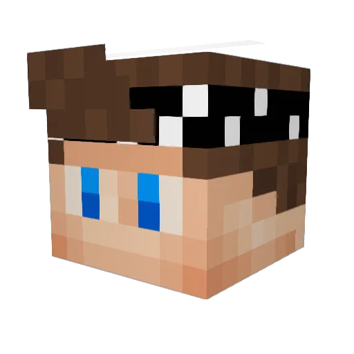 PastPlayzHD Minecraft avatar head, 3D render
