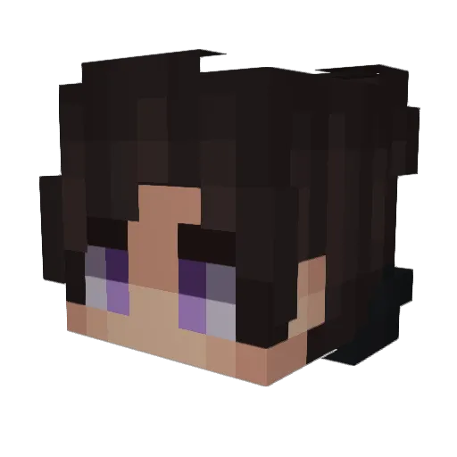 Minecraft-Avatar von PastaDiet: Kopf als 3D-Render