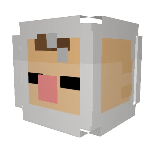 PastaRakker Minecraft avatar head, 3D render