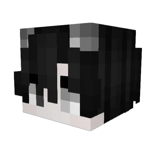 Pastagamerdad Minecraft avatar head, 3D render