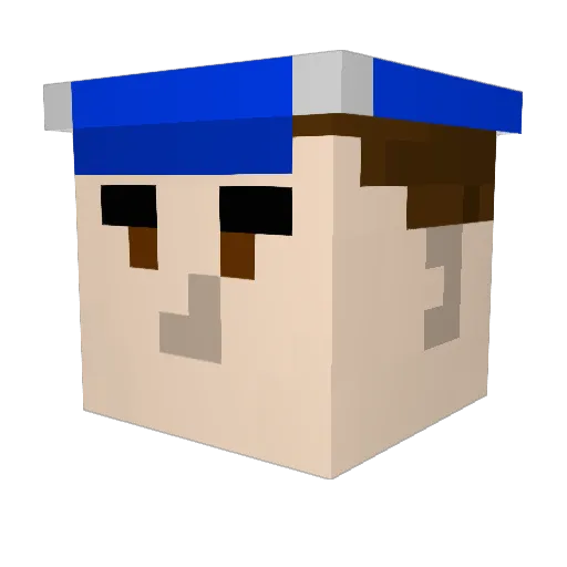 Pastaspace Minecraft avatar head, 3D render