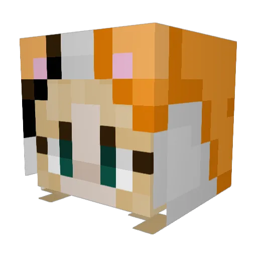 PastelKitty909 Minecraft avatar head, 3D render