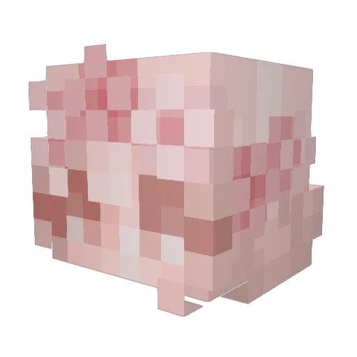 PastelQueenBee Minecraft avatar head, 3D render