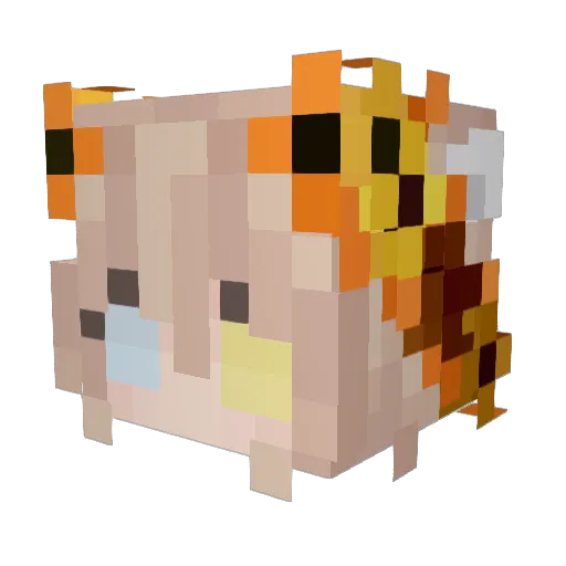 PastelTeaFlower Minecraft avatar head, 3D render