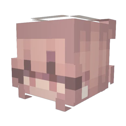 PastelWolfyyy Minecraft avatar head, 3D render