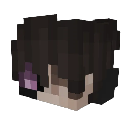 Pastel_SaltyGay2 Minecraft avatar head, 3D render