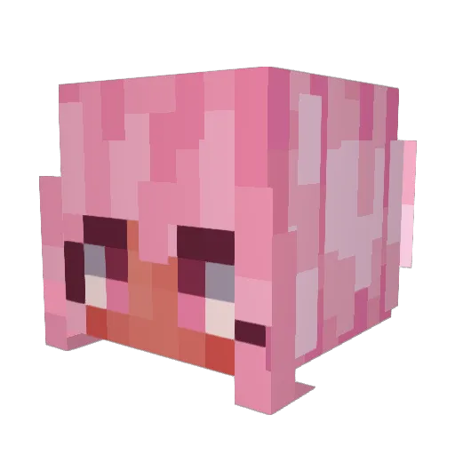 Pastelliuum Minecraft avatar head, 3D render