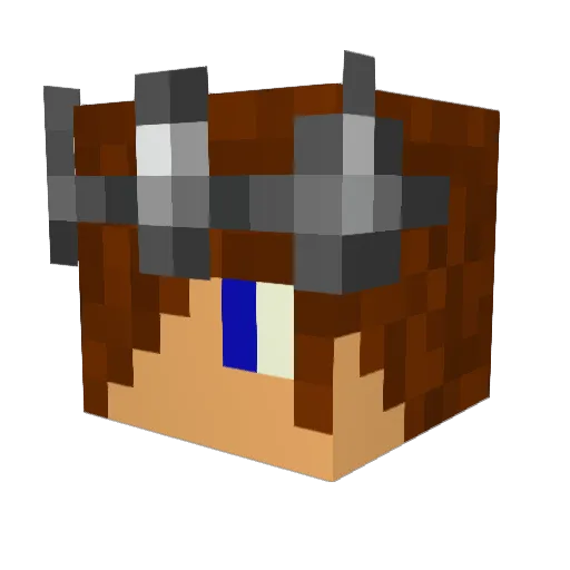 PasteyProtestant Minecraft avatar head, 3D render