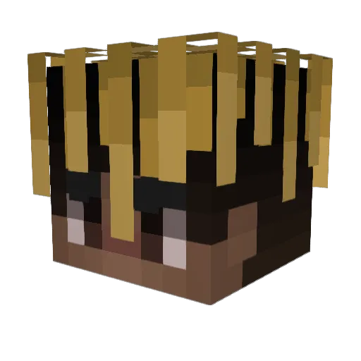 Pastoocha Minecraft avatar head, 3D render