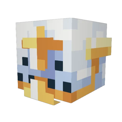 Pastor_Baitor Minecraft avatar head, 3D render