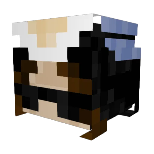 Pastwastaken Minecraft avatar head, 3D render