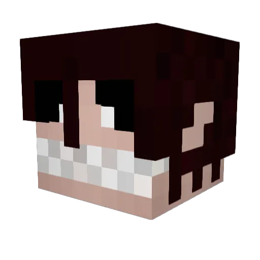 Pat4t4 Minecraft avatar head, 3D render
