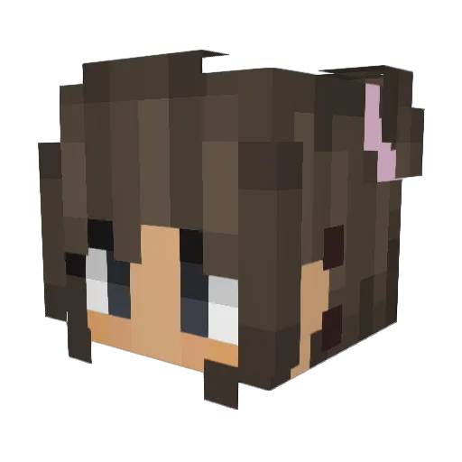 Pat4te__ Minecraft avatar head, 3D render