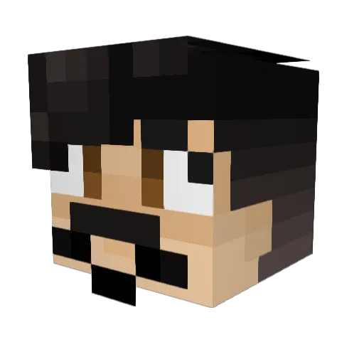 PatFiguur Minecraft avatar head, 3D render
