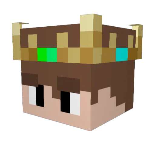 PatIsCool12 Minecraft avatar head, 3D render
