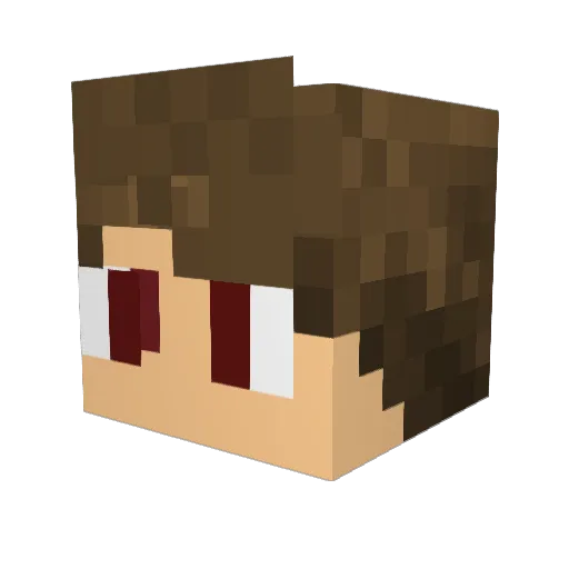 PatVet2001 Minecraft avatar head, 3D render