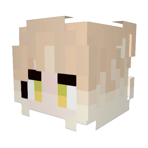 Pat_da_Dragon Minecraft avatar head, 3D render