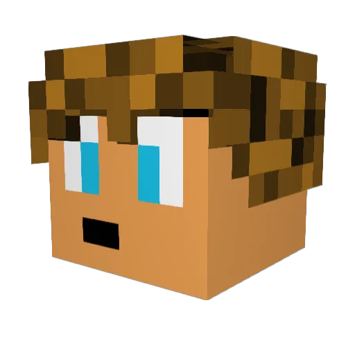 PataSWE Minecraft avatar head, 3D render